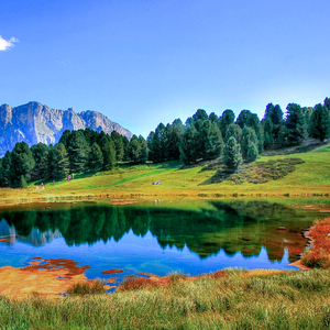 梦梦女主胯下口舌VK
